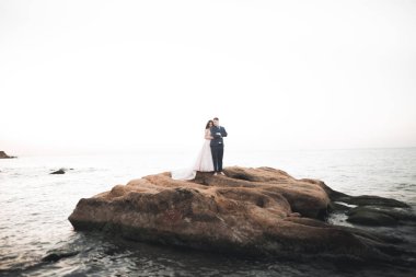 Şık, şık, mutlu bir düğün çifti, gelin, deniz ve gökyüzünün arka planında muhteşem bir damat.