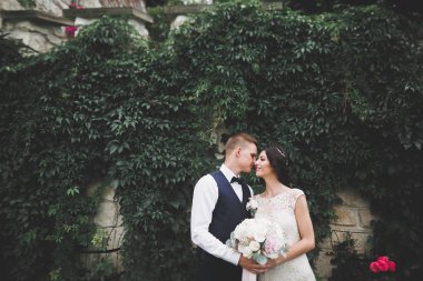 Bahar mevsiminde öpüşen düğün çifti. Yakın plan portre.