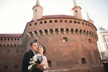 Mutlu düğün çift, damat, Gelin pembe elbise ile sarılma ve birbirlerine arka plan üzerinde gülümseyen duvarlar kalede.