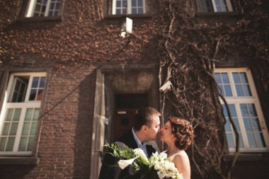 Genç düğün iki aşk hikayesi, gelin ve damat arka planda bina yakın poz sonra. Krakow
