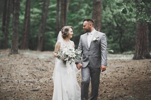 Beautiful romantic wedding couple of newlyweds hugging in park on sunset — Stock Photo, Image