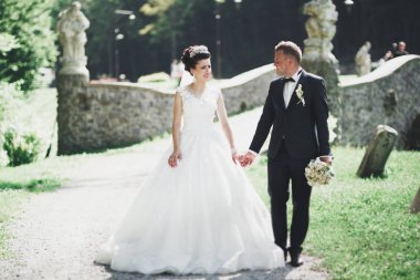 Romantik, peri masalı, mutlu yeni evli çift parkta sarılıp öpüşüyor, arka planda ağaçlar...