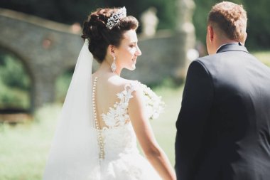 Mükemmel bir çift gelin ve damat düğün günlerinde poz verip öpüşürler.