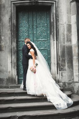 Güzel mutlu bir düğün çifti, uzun beyaz elbiseli gelin.