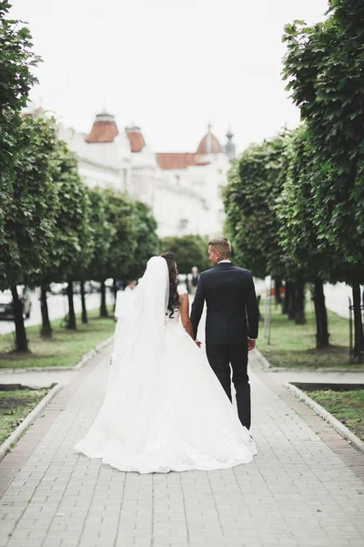 Pareja de matrimonio de lujo, novia y novio posando en la ciudad vieja — Foto de Stock