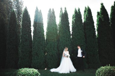 Gelin ve damat el ele tutuşuyor.