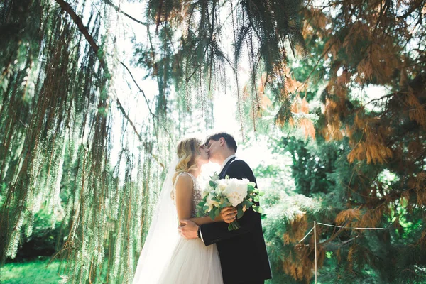 Ρομαντικό, παραμυθένιο, ευτυχισμένο νιόπαντρο ζευγάρι αγκαλιάζει και φιλάει σε ένα πάρκο, δέντρα στο βάθος — Φωτογραφία Αρχείου