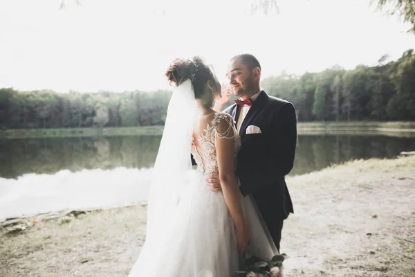 Casal de casamento beijando ficar sobre bela paisagem — Fotografia de Stock