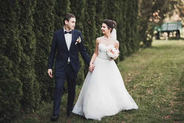 Bella coppia di sposi romantici che si abbracciano nel parco — Foto Stock