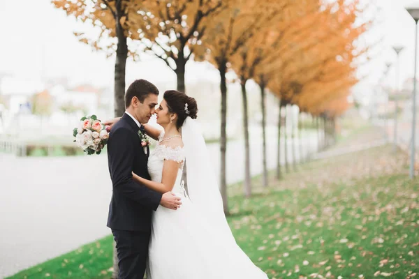 Casamento recém-casado casal correndo e pulando no parque, mantendo as mãos — Fotografia de Stock