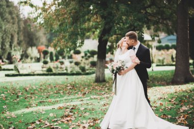 Botanik parkında yürüyen mutlu bir çift.