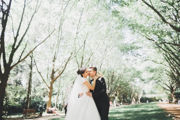 Bacio matrimonio coppia in primavera natura close-up ritratto — Foto Stock