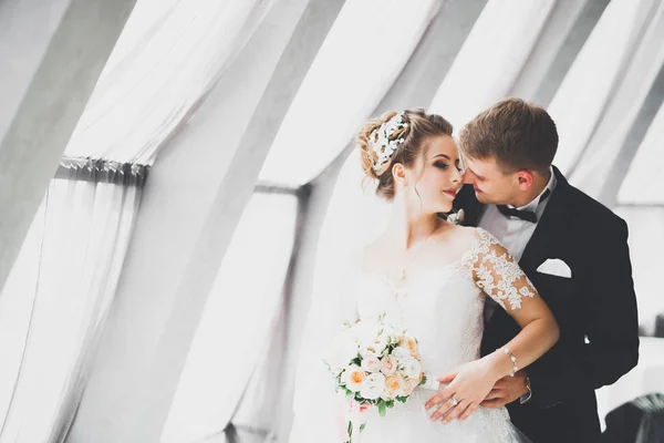 Pareja perfecta novia, novio posando y besándose en el día de su boda —  Fotos de Stock