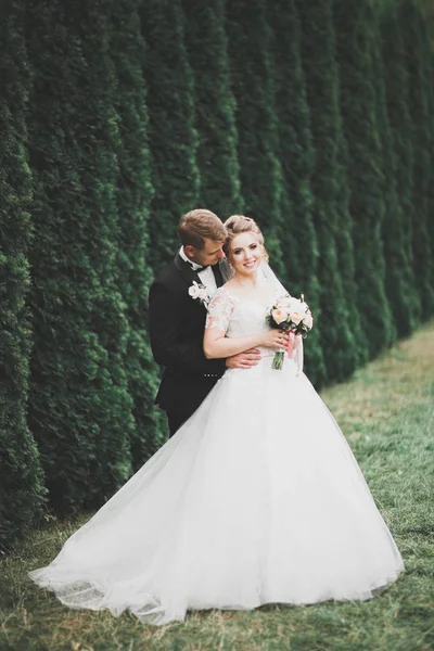 Pareja feliz boda caminando en un parque botánico — Foto de Stock