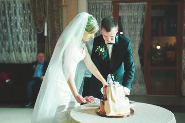 Gelin ve damat düğün pastasını kesiyor.