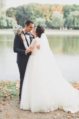 Romantik, peri masalı, mutlu yeni evli çift parkta sarılıp öpüşüyor, arka planda ağaçlar...