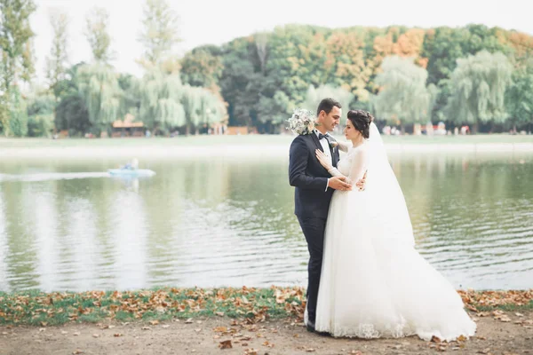 Boda pareja novia y novio de la mano —  Fotos de Stock