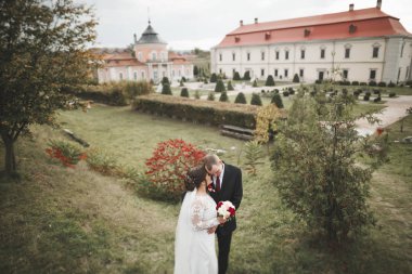 Güzel, romantik bir düğün. Yeni evliler. Eski kalenin yakınlarında sarılıyorlar.
