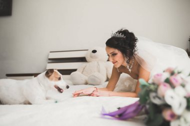 Güzel lüks gelin komik pofuduk köpekle oynuyor