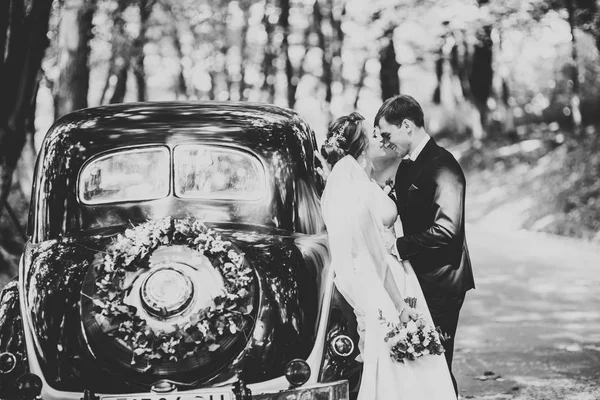 Perfektes Paar Braut, Bräutigam posiert und küsst sich am Hochzeitstag — Stockfoto