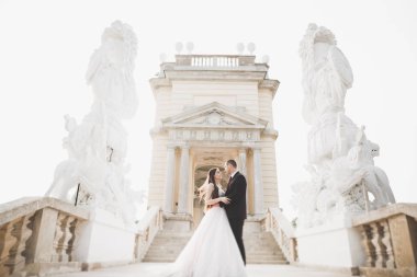 Güzel gelin ve damat evlendikleri gün kucaklaşıp öpüşüyorlar.