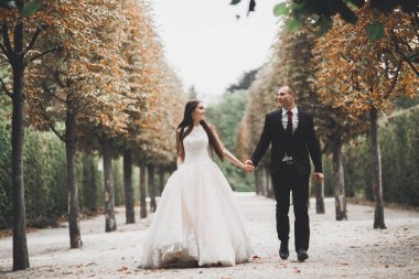 Lüks bir düğün çifti, gelin ve damat lüks şehirde poz veriyor.