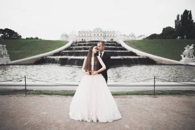 Güzel mutlu bir düğün çifti, uzun beyaz elbiseli gelin.