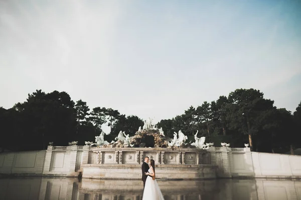 Coppia perfetta sposa, sposo posa e baci nel loro giorno del matrimonio — Foto Stock