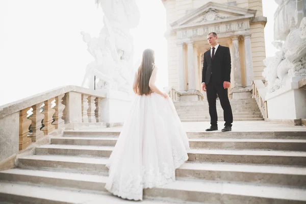 Luxury wedding couple, bride and groom posing in the city of Vienna