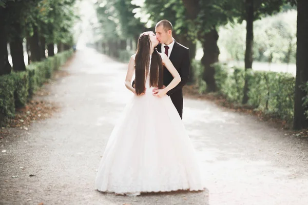 Luxus-Hochzeitspaar, Braut und Bräutigam posieren in Wien — Stockfoto