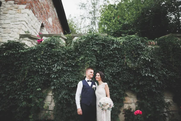 Matrimonio coppia sposa e sposo tenendosi per mano — Foto Stock