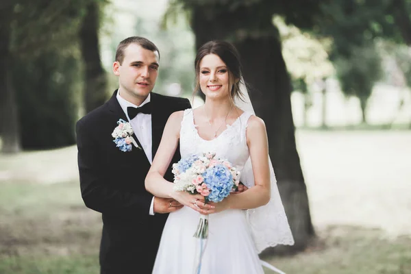 Bella coppia di sposi romantici che si abbracciano nel parco — Foto Stock