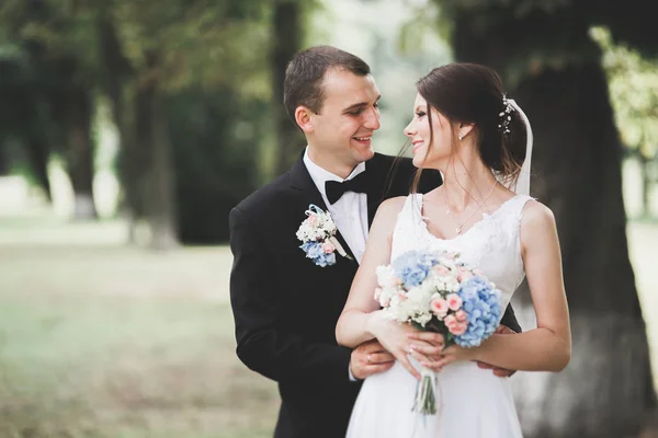 Joyeux couple de mariage marchant dans un parc botanique — Photo