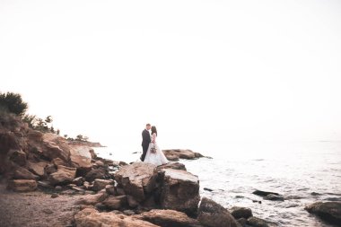 Mutlu evlilik çifti güzel manzarada kalıyor.