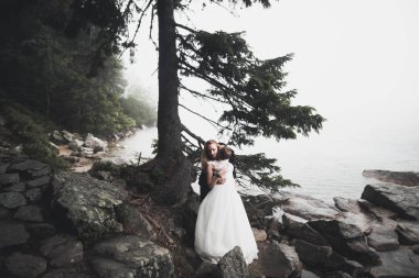 Mükemmel bir çift gelin ve damat düğün günlerinde poz verip öpüşürler.