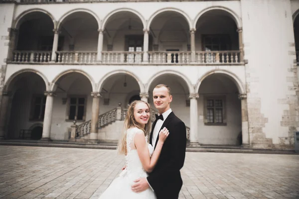 Perfect couple bride, groom posing and kissing in their wedding day — Stock Photo, Image