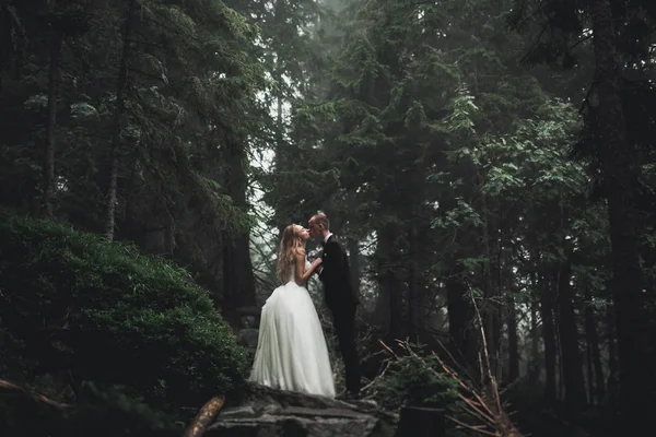 Bacio matrimonio coppia in primavera natura close-up ritratto — Foto Stock