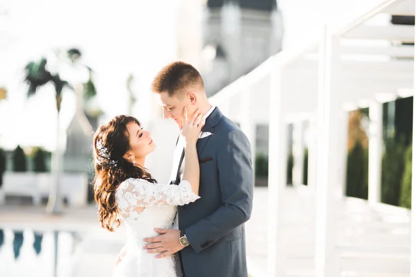 Retrato sensual de um jovem casal de casamentos. Ao ar livre — Fotografia de Stock