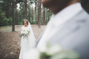 Güzel gelin ve damat düğün günlerinde kucaklaşıp öpüşürler.
