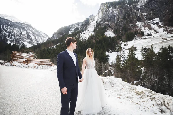 La pareja, la novia y el novio tomados de la mano en las montañas —  Fotos de Stock