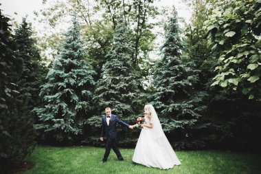 Parkta kucaklaşan yeni evli çiftin güzel romantik düğünü.