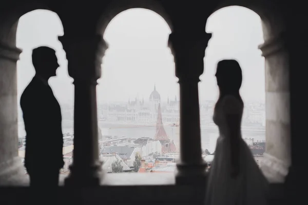 Casal de casamento perfeito ficar sobre bela paisagem — Fotografia de Stock