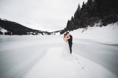 Romantik düğün anı, yeni evli çiftin gülümseyen portresi, gelin ve damadın kucaklaşması