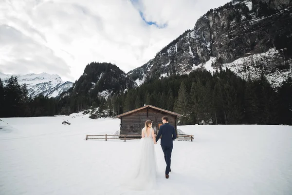 Bruidspaar bruid en bruidegom hand in hand — Stockfoto