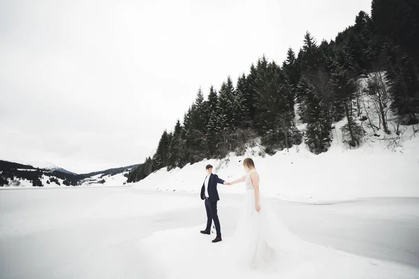 Çift, gelin ve damat dağlarda el ele tutuşuyorlar. — Stok fotoğraf