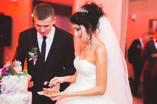 Noiva e noivo no casamento cortando o bolo de casamento — Fotografia de Stock