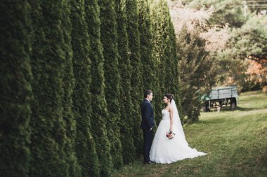 Parkta kucaklaşan yeni evli çiftin güzel romantik düğünü.