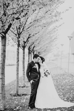 Yeni evli çift el ele tutuşurken parkta koşup zıplıyorlar.