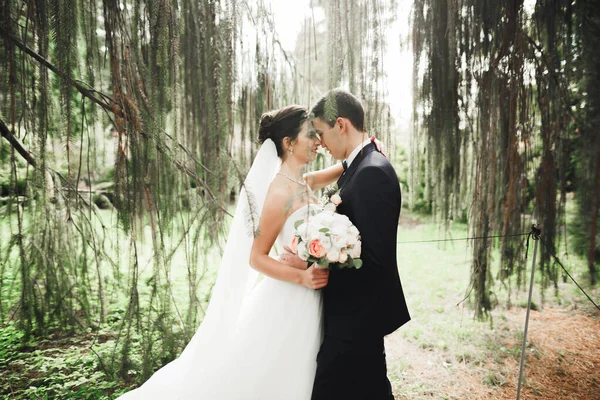 Retrato sensual de um jovem casal de casamentos. Ao ar livre — Fotografia de Stock