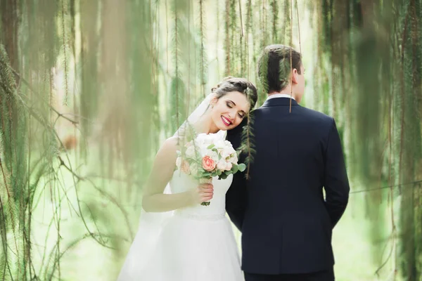 Casamento recém-casado casal correndo e pulando no parque, mantendo as mãos — Fotografia de Stock